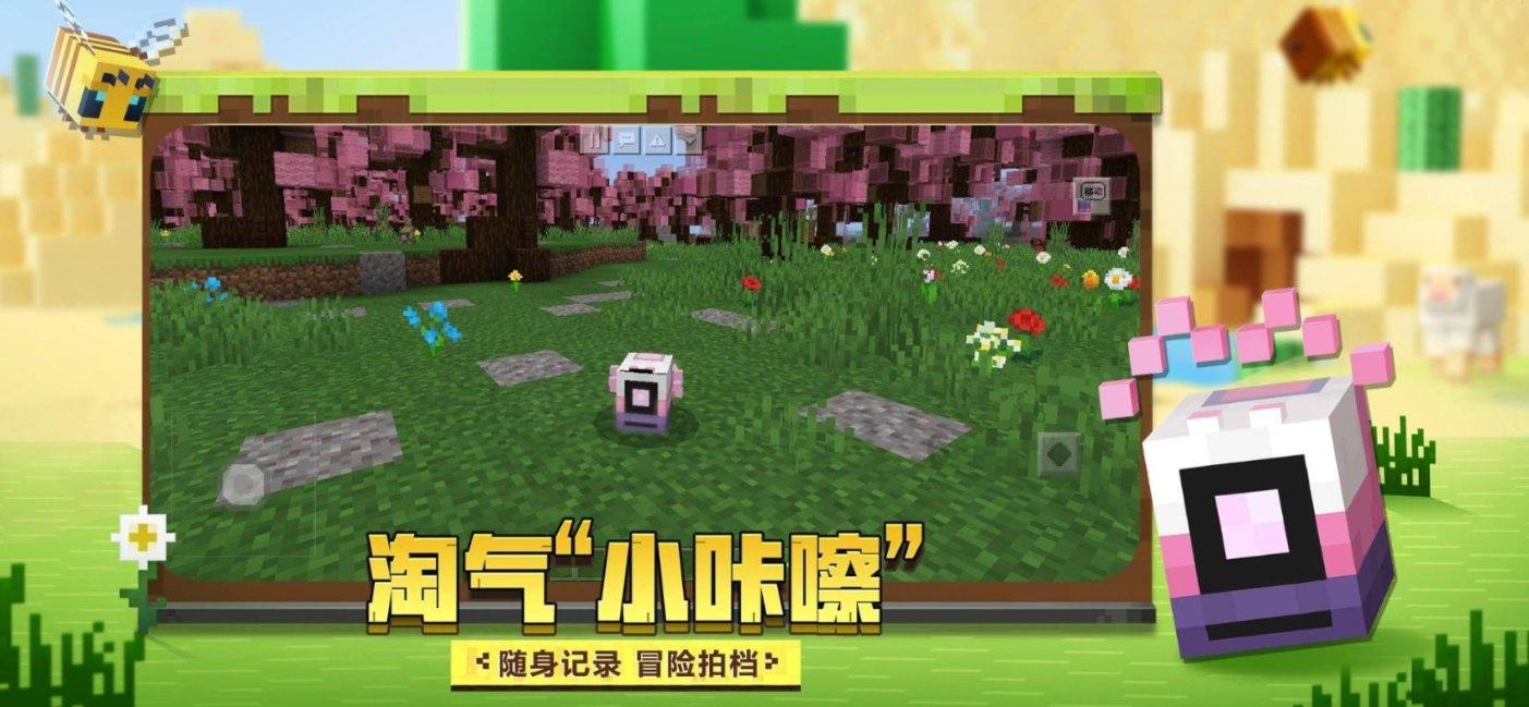 救援花卉销售员