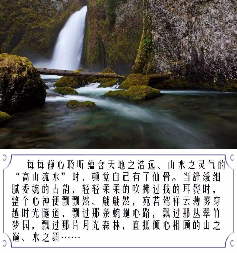 数学家回归？维金斯近五战场均18分4.8板2.6助1断1.2帽